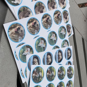 Hannah added a photo of their purchase