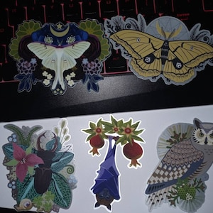 Ennie adicionaram uma foto da sua compra