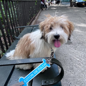 Chuck added a photo of their purchase