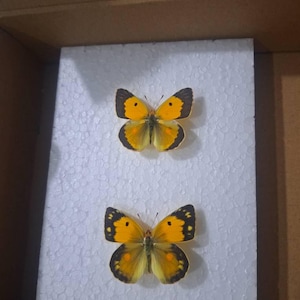 Natalija ha añadido una foto de su compra