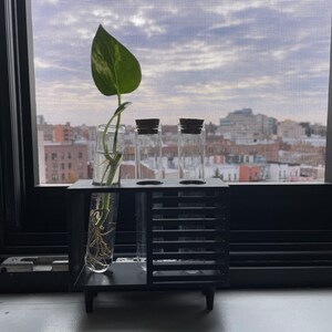 ashley added a photo of their purchase