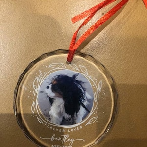 Julie added a photo of their purchase