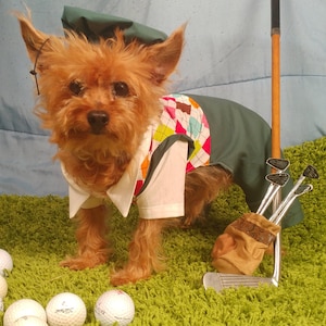 Dog golf outfit Clearance