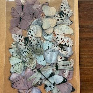 Mary added a photo of their purchase