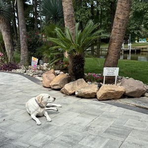 Kimberly added a photo of their purchase