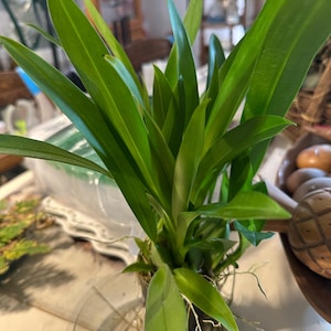 Mark added a photo of their purchase