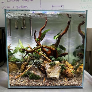 Travis added a photo of their purchase
