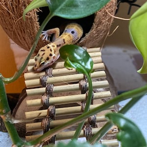 Lisa added a photo of their purchase