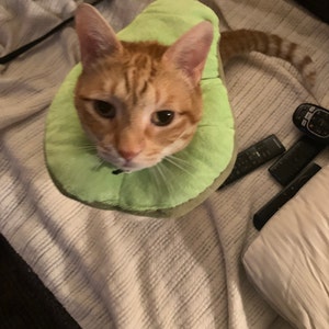 Christy added a photo of their purchase