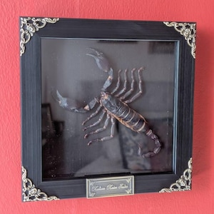 Ioana added a photo of their purchase