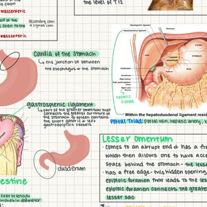 Lauren added a photo of their purchase