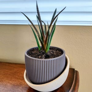 Lenny added a photo of their purchase