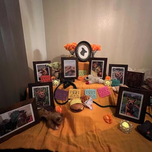 Ashley added a photo of their purchase
