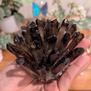 Martha added a photo of their purchase