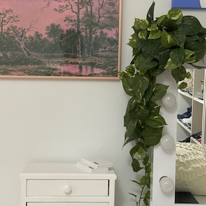 Isabella added a photo of their purchase