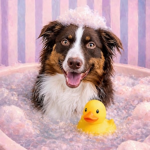 Comprador de Etsy ha añadido una foto de su compra