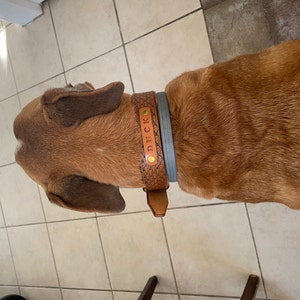Emily added a photo of their purchase