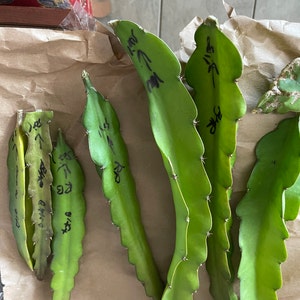 Shannette ha añadido una foto de su compra