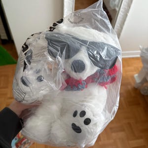 The Summer I Turned Pretty Polar Bear, TSITP Junior Mint, Junior