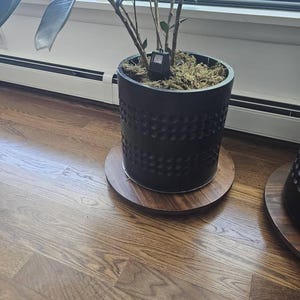 Renee さんが購入した商品の写真を追加しました
