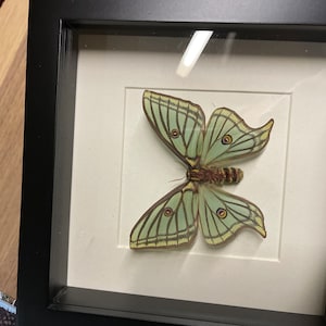 leopold added a photo of their purchase