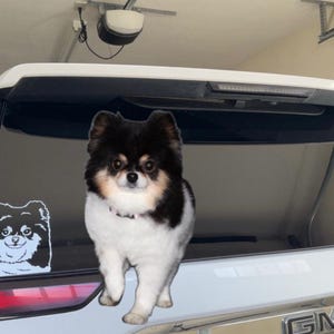 Sophie added a photo of their purchase