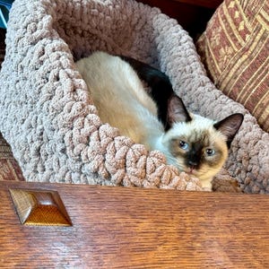 Phyllis added a photo of their purchase