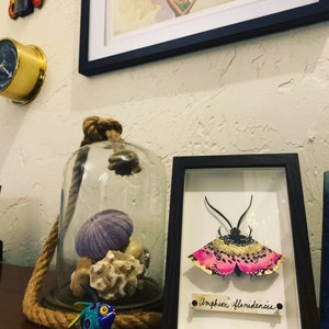 Amy added a photo of their purchase