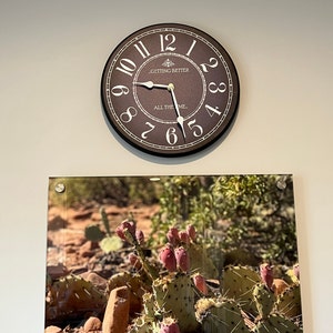 teri added a photo of their purchase