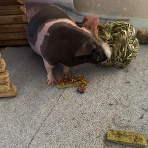 Mindy added a photo of their purchase