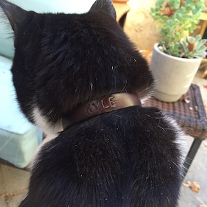 Amy added a photo of their purchase