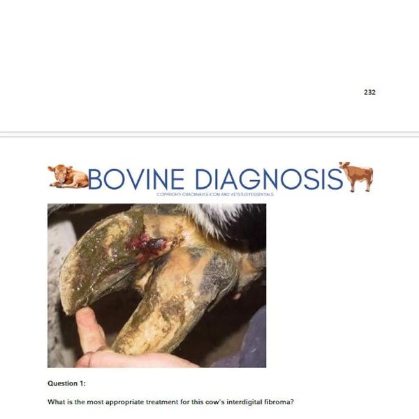 NAVLE Mastery Bundle Comprehensive Vet School Notes and NAVLE Prep ...