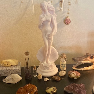 Meghann added a photo of their purchase