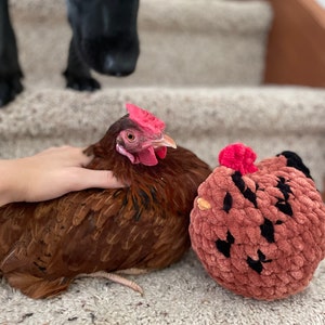 Moth added a photo of their purchase