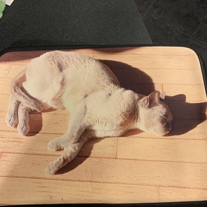 Amy added a photo of their purchase