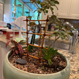 Ann added a photo of their purchase
