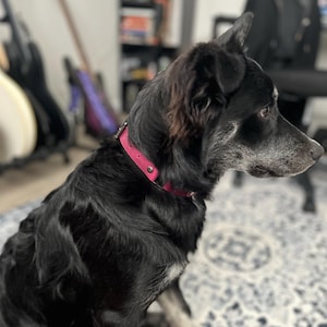 Tess a ajouté une photo de son achat