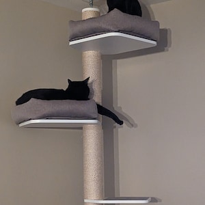 Larne added a photo of their purchase