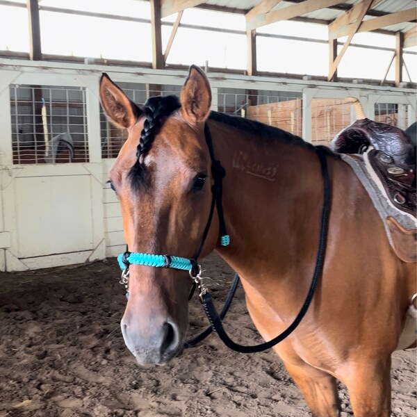 Custom Side Pull With Matching 8' Rope Reins - Etsy