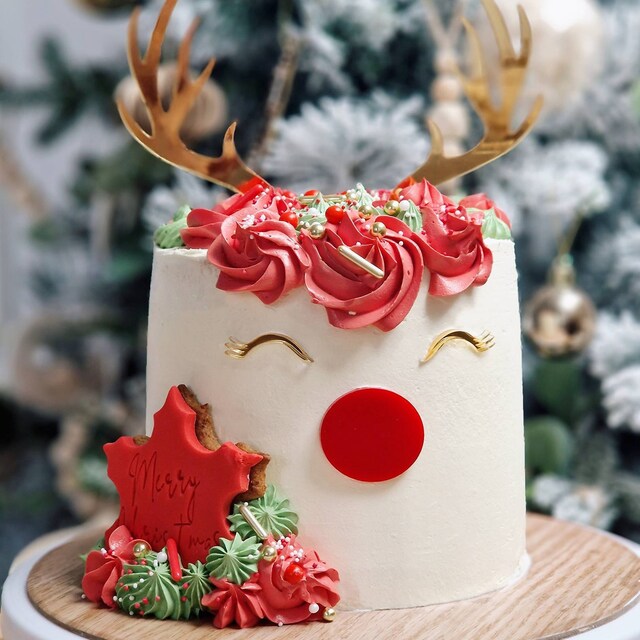 Modern Rudolf Antler Set Christmas Cake Topper Antler, Eyes and Nose Included Acrylic, Christmas Cake Topper Kit - Etsy
