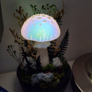 Comprador de Etsy ha añadido una foto de su compra