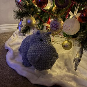 Alex added a photo of their purchase