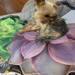 Krista added a photo of their purchase