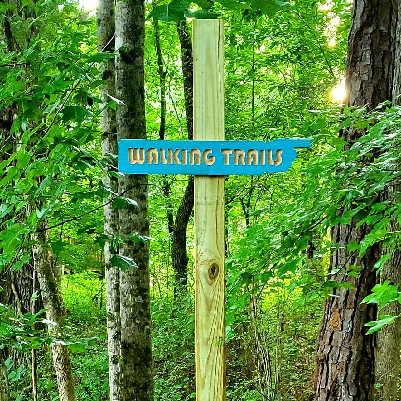 💖Buy 2 Free Shipping💖Direction, Mileage, Destination Outdoor Signs - Personalized Directional Signs - Custom Carved Arrow