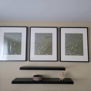 Naomi added a photo of their purchase