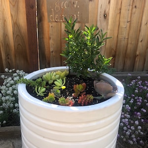 Carli added a photo of their purchase