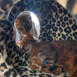 Zeva added a photo of their purchase