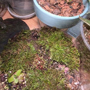 John heeft een foto van zijn/haar aankoop toegevoegd