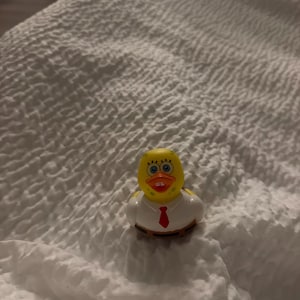 Triston hat ein Foto des gekauften Artikels hinzugefügt