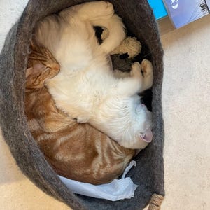 Fiona added a photo of their purchase